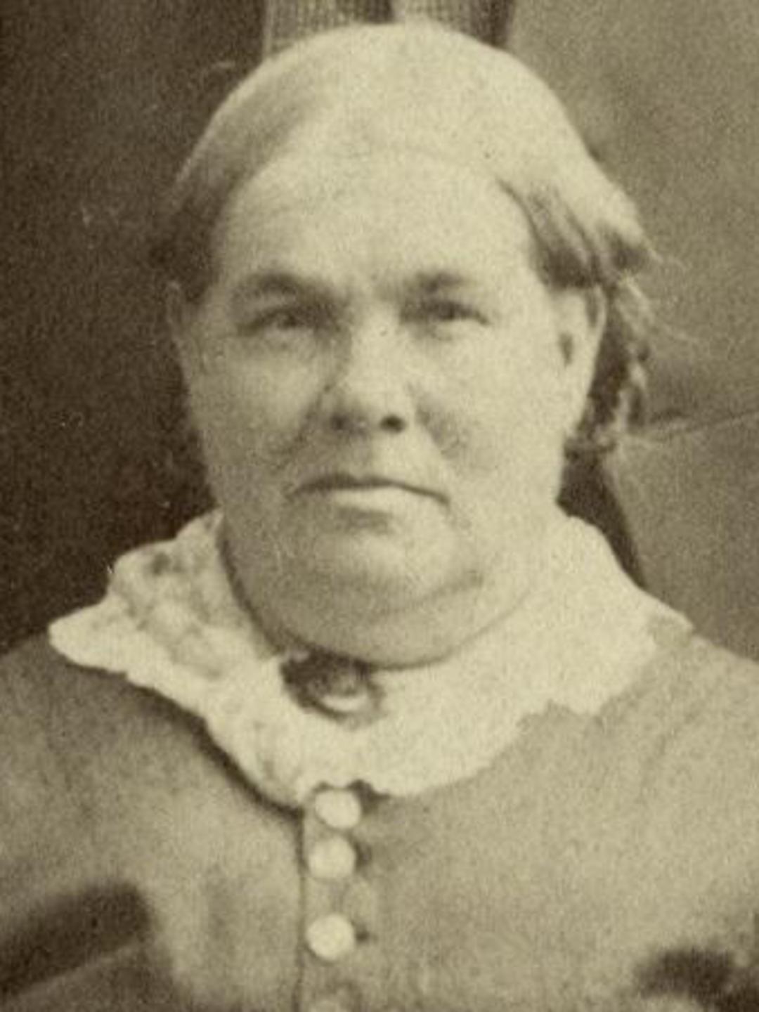 Laura Lucinda Reed (1829 - 1903) Profile